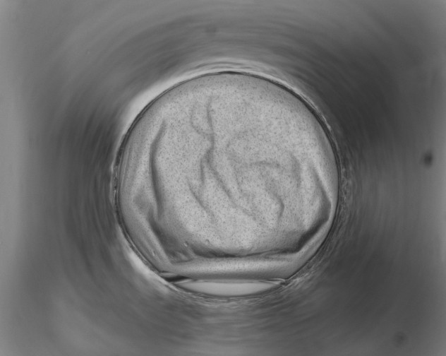 X0000115731535200912101440