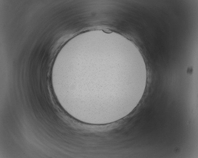 X0000115730001200912241636