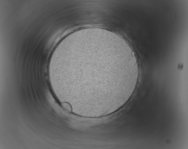 X0000115730002200912241636