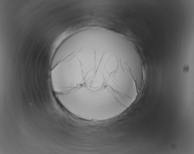 X0000115730003200912241636