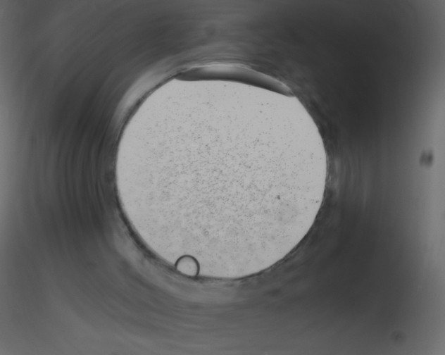 X0000115730004200912241636