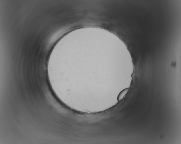 X0000115730005200912241636