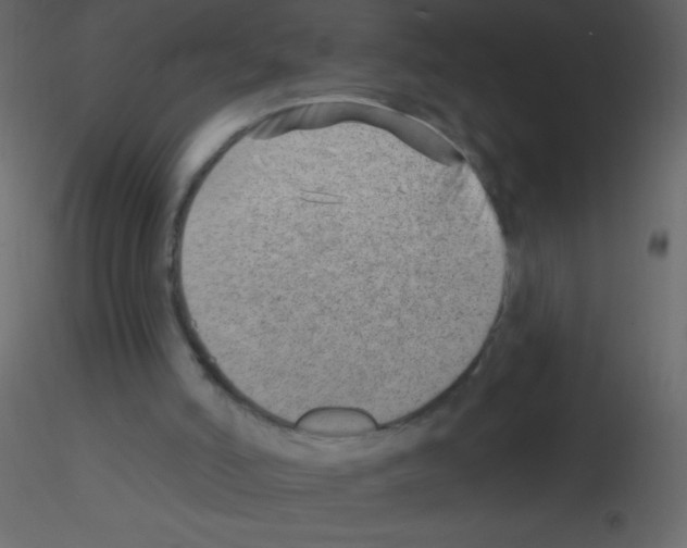X0000115730006200912241636