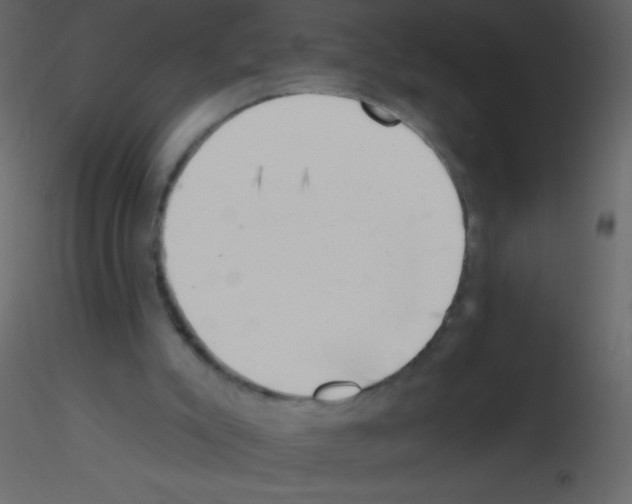 X0000115730007200912241636