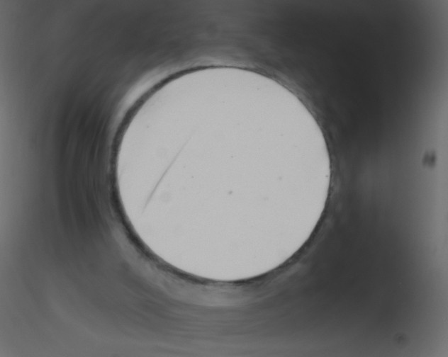 X0000115730008200912241636