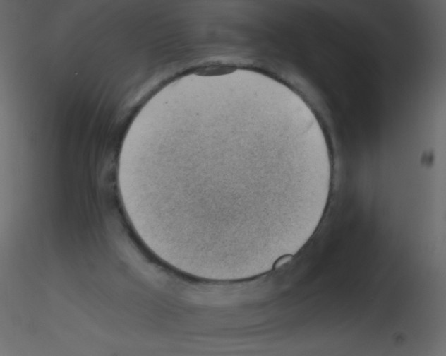 X0000115730009200912241636