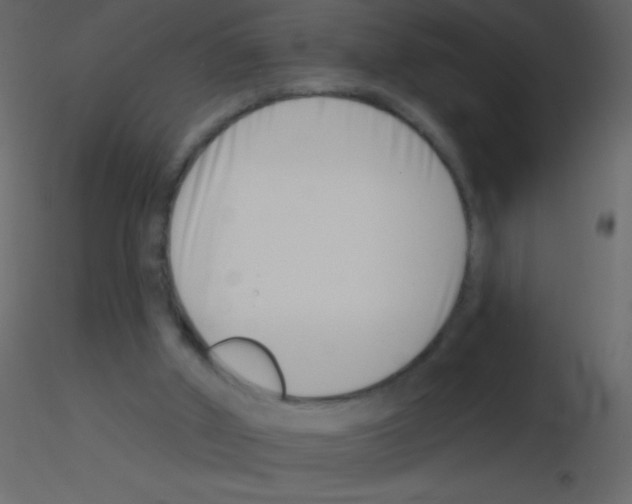 X0000115730010200912241636