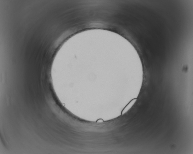 X0000115730011200912241636