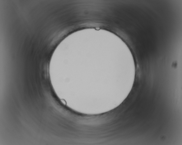 X0000115730013200912241636