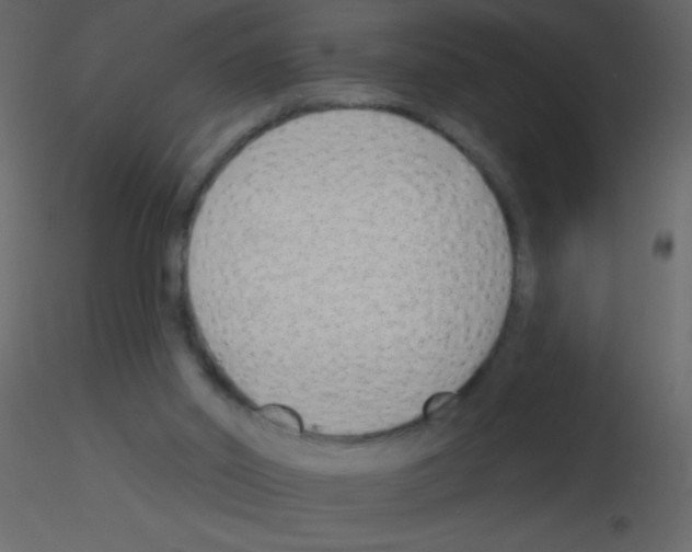 X0000115730014200912241636