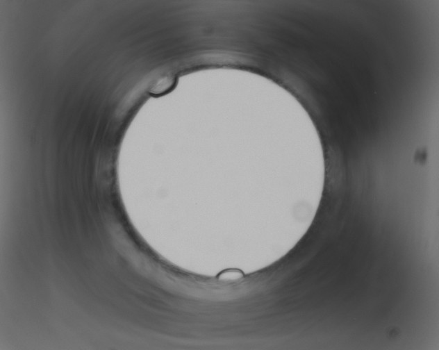 X0000115730015200912241636