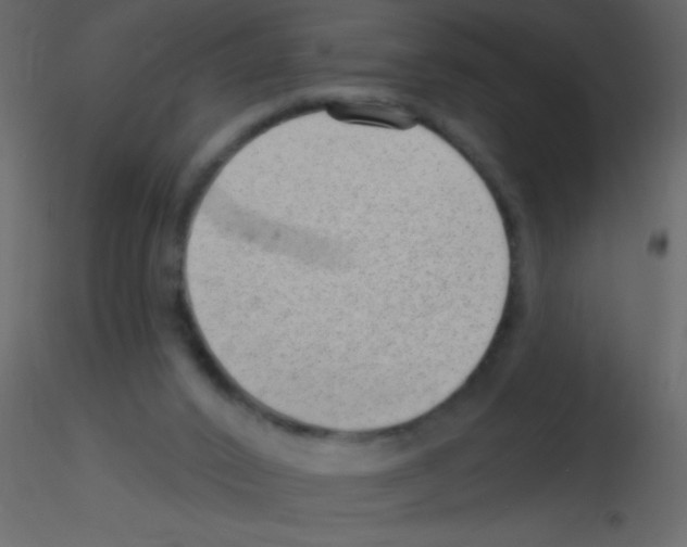 X0000115730016200912241636