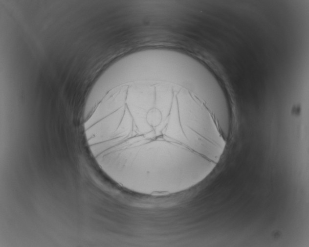 X0000115730017200912241636