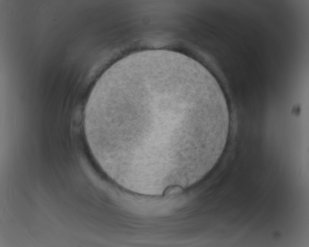 X0000115730018200912241636