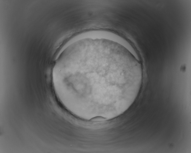 X0000115730019200912241636