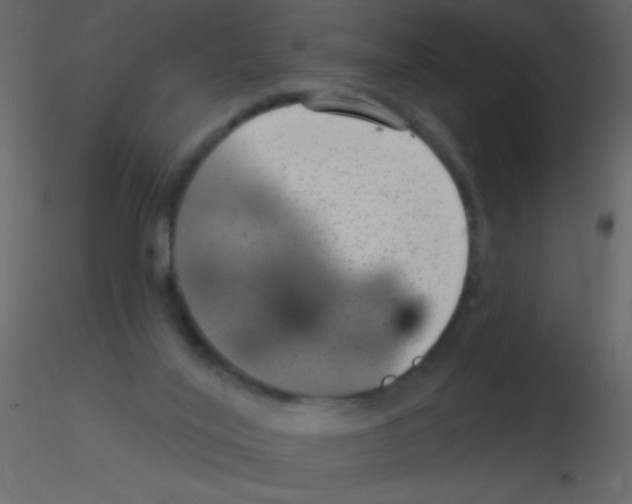 X0000115730020200912241636