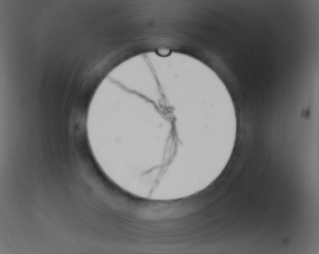 X0000115730021200912241636