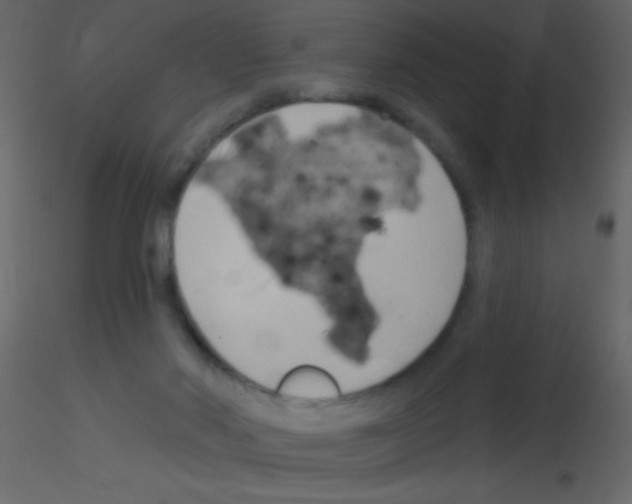 X0000115730022200912241636