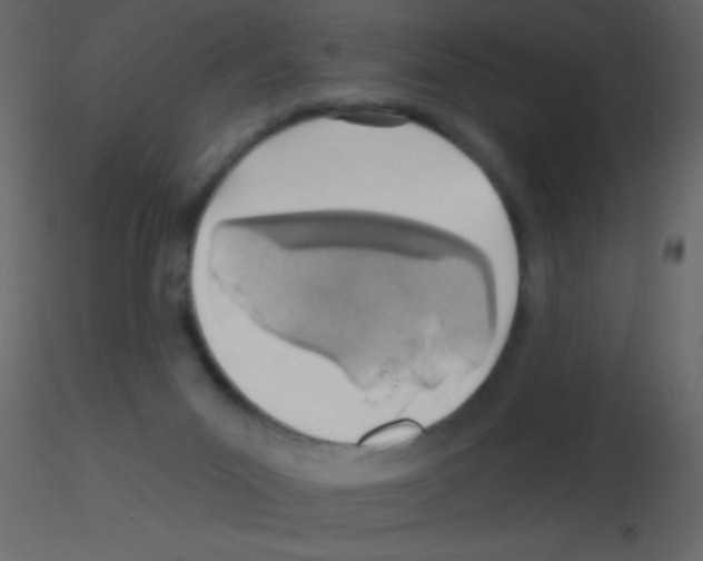 X0000115730023200912241636