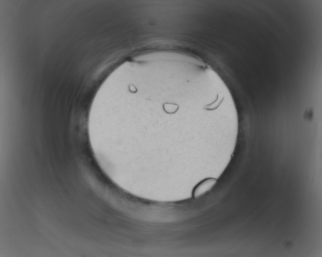 X0000115730024200912241636