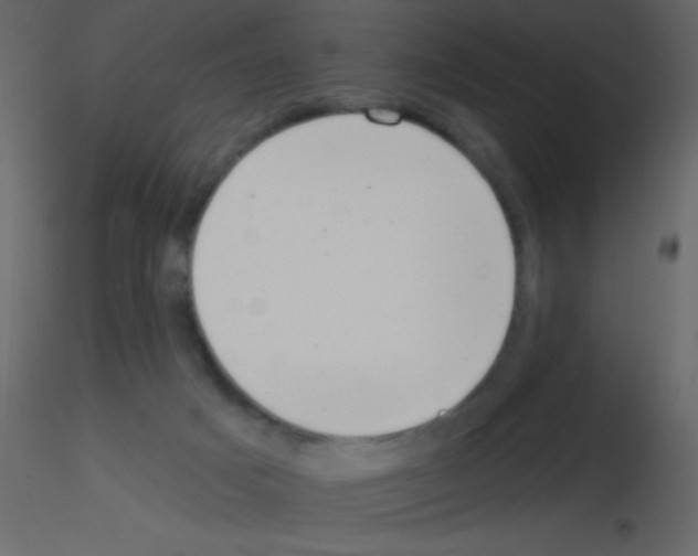 X0000115730025200912241635