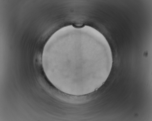 X0000115730027200912241635