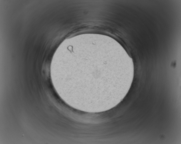 X0000115730028200912241635