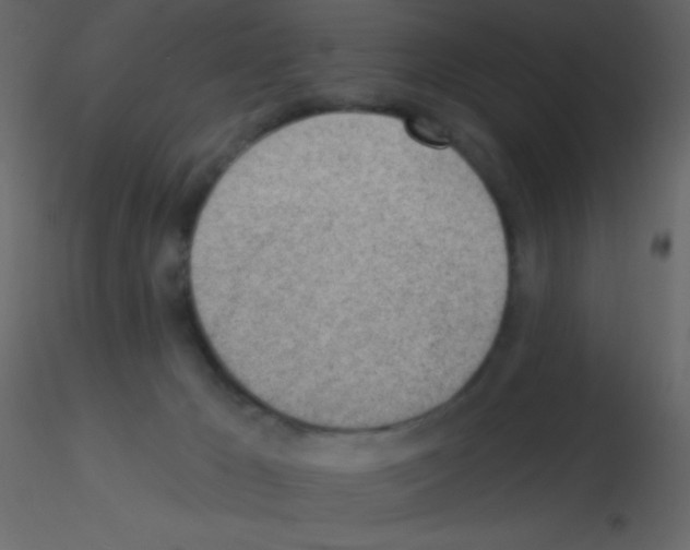 X0000115730029200912241635