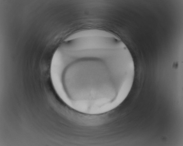 X0000115730031200912241635
