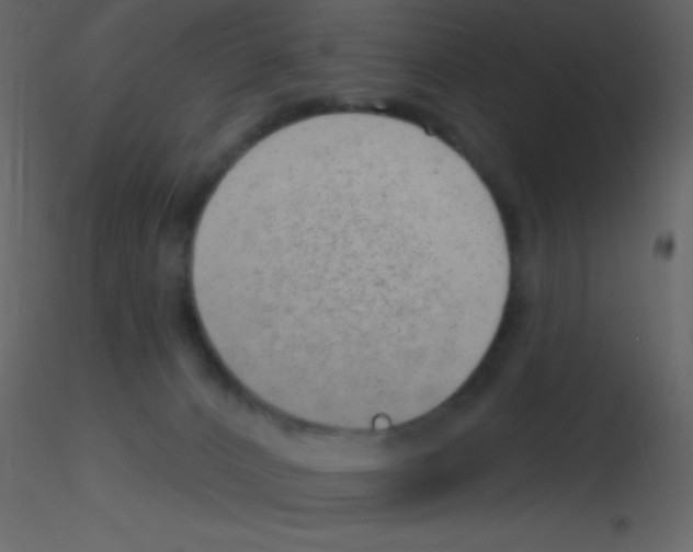 X0000115730032200912241635