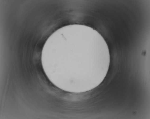 X0000115730033200912241635