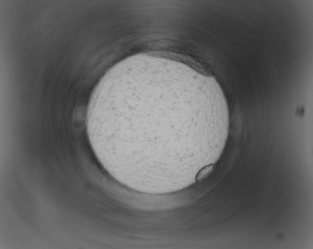 X0000115730034200912241635