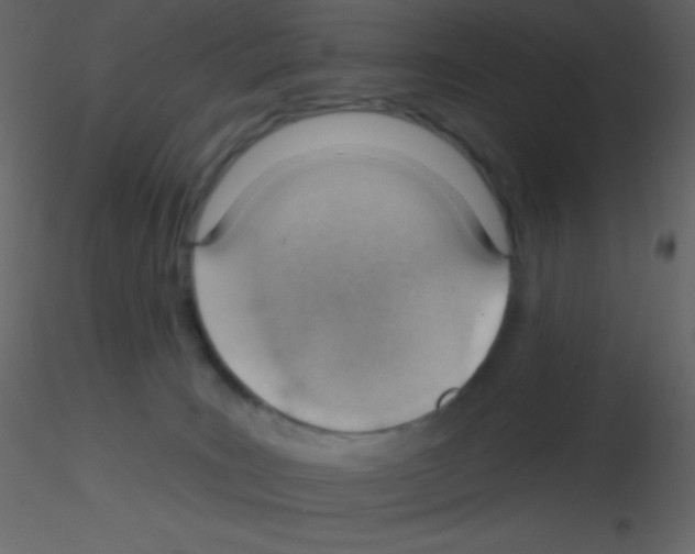 X0000115730035200912241635