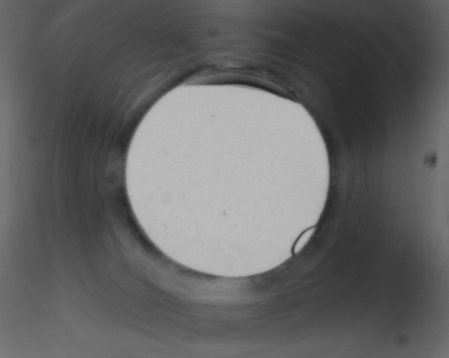 X0000115730036200912241635