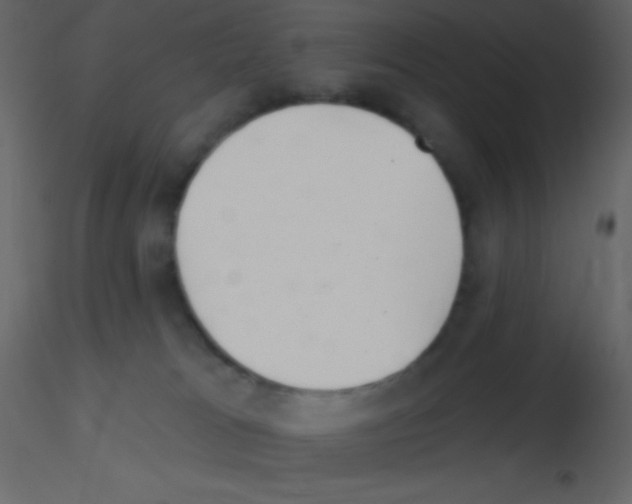 X0000115730037200912241635