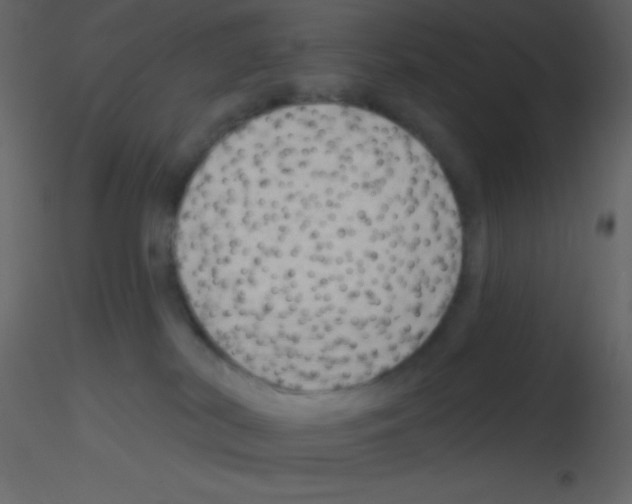 X0000115730038200912241635