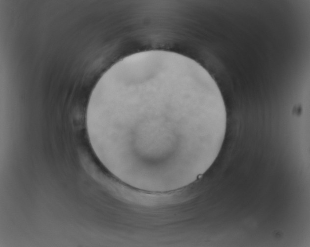 X0000115730039200912241635