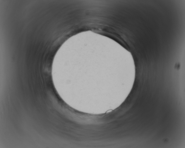 X0000115730040200912241635