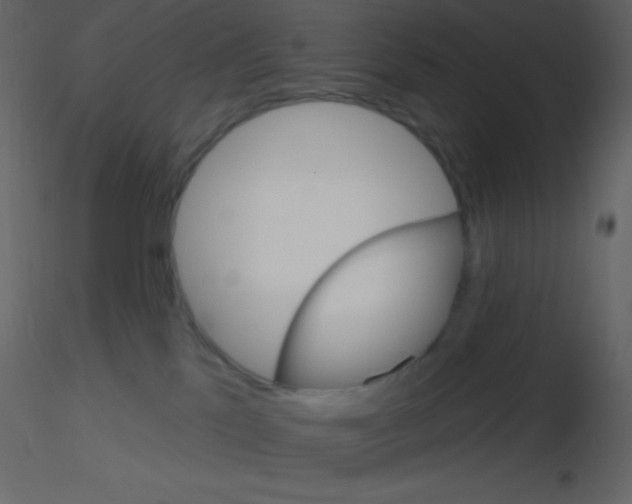 X0000115730041200912241635