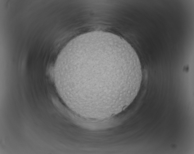 X0000115730042200912241635