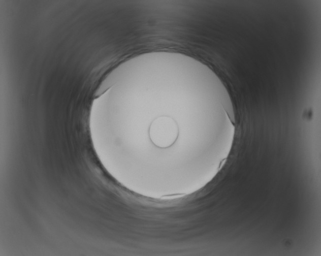 X0000115730043200912241635