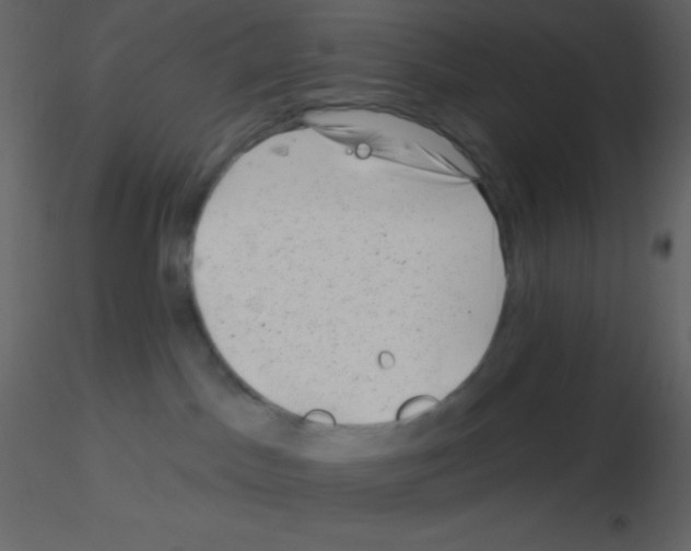 X0000115730045200912241635