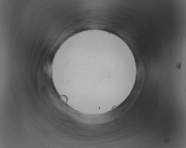 X0000115730046200912241635