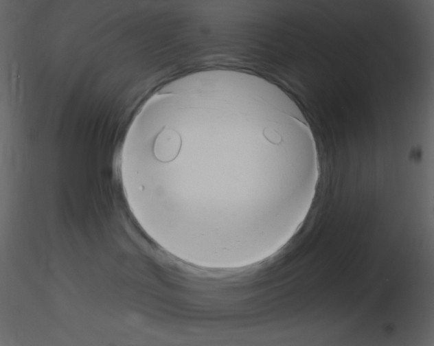 X0000115730047200912241635