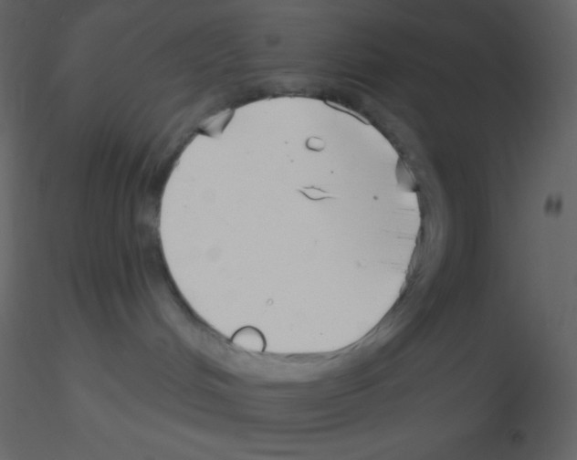 X0000115730048200912241635