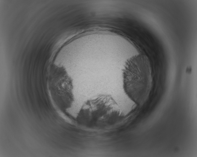X0000115730049200912241635