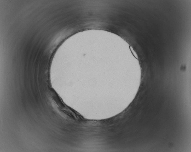 X0000115730050200912241635