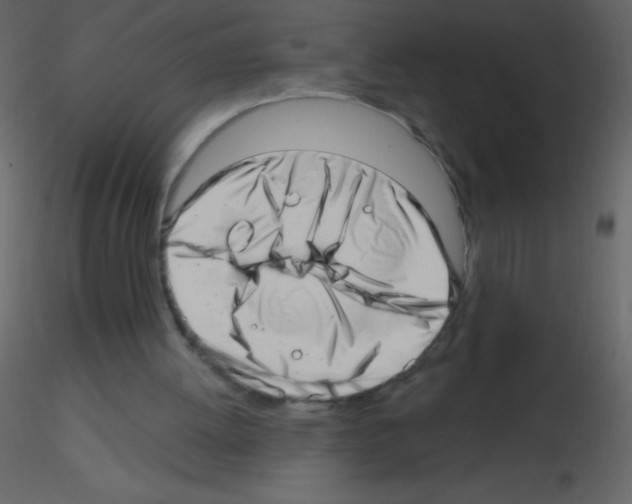 X0000115730052200912241635