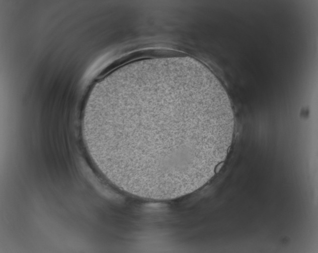 X0000115730053200912241635