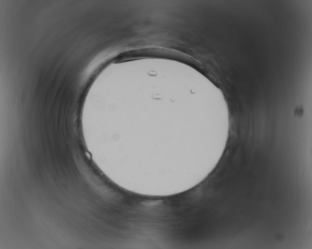 X0000115730054200912241635